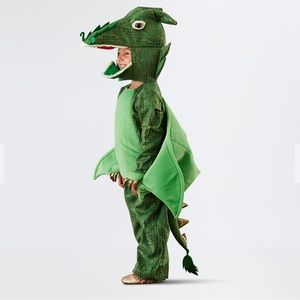 Dragon Toddler Costume